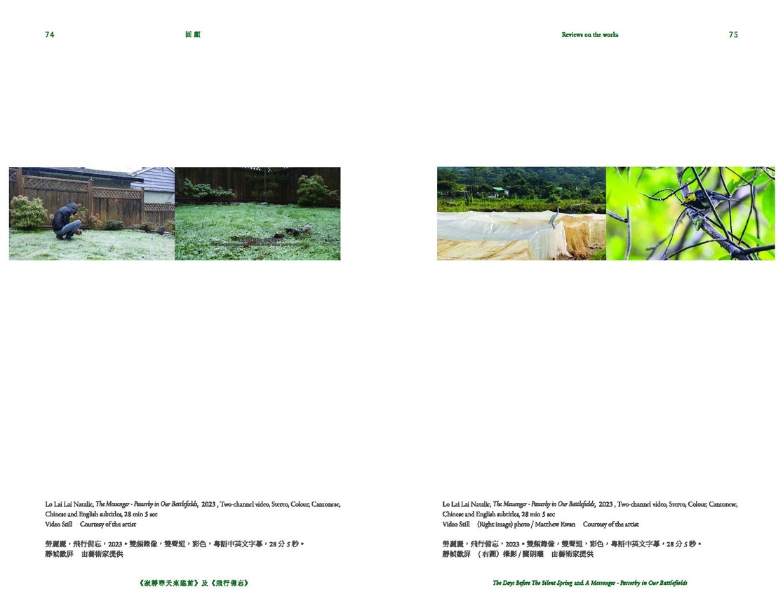Revolving | Reviews on the works  The Days Before The Silent Spring and A Messenger - Passerby in Our Battlefields Lo Lai Lai Natalie  2021-2023 thumbnail 6