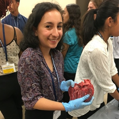 Dissecting a heart at USC Keck