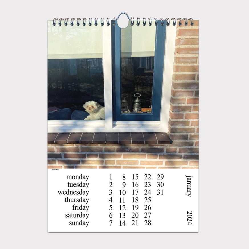 Cats and Dogs in the Window CALENDAR 2024 thumbnail 3
