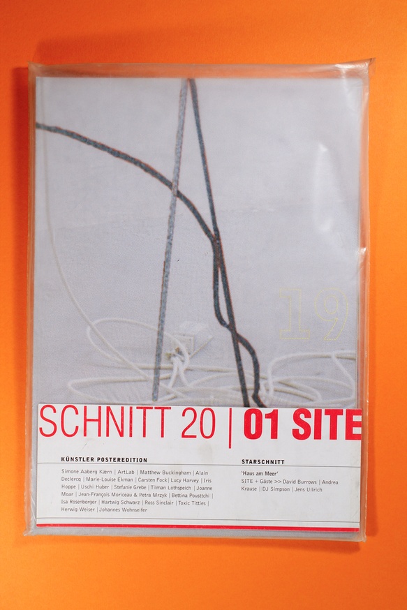Schnitt 20 / 01 Site Künstler Posteredition