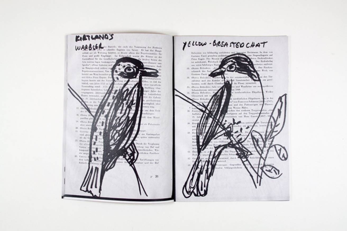 Bird Drawings thumbnail 2