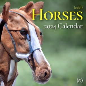  oddhorse 2024 calendar