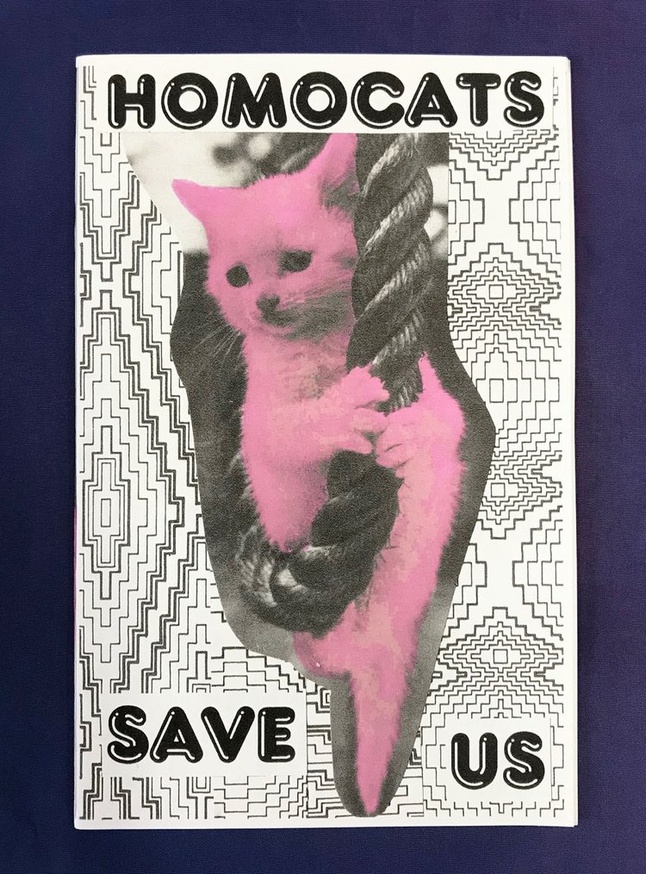 HOMOCATS: Save Us