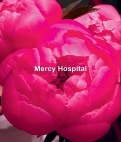 Ida Applebroog : Mercy Hospital