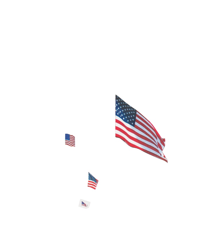 NEW YORK POST Flag Profile thumbnail 4