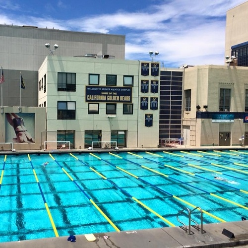 UC Berkeley swimming Pool