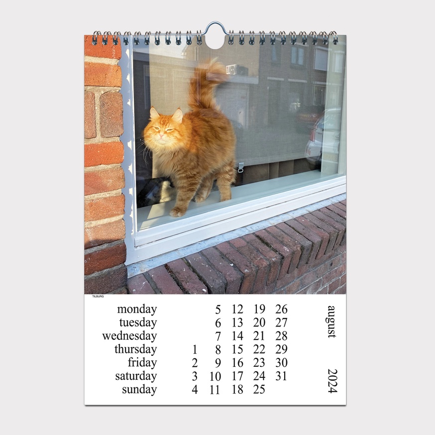 Cats and Dogs in the Window CALENDAR 2024 thumbnail 8