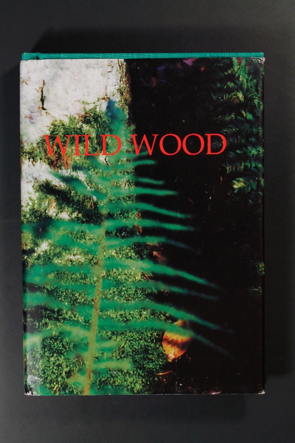 Wild Wood thumbnail 2