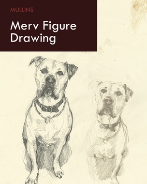 Merv Figure Drawing
