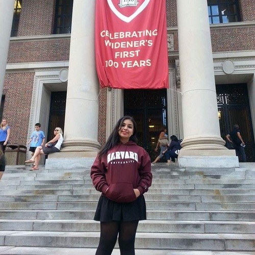 Harvard Library 💕