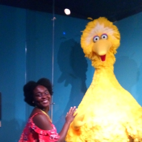 I took this picture of me and Big Bird at the Museum of the Moving Image