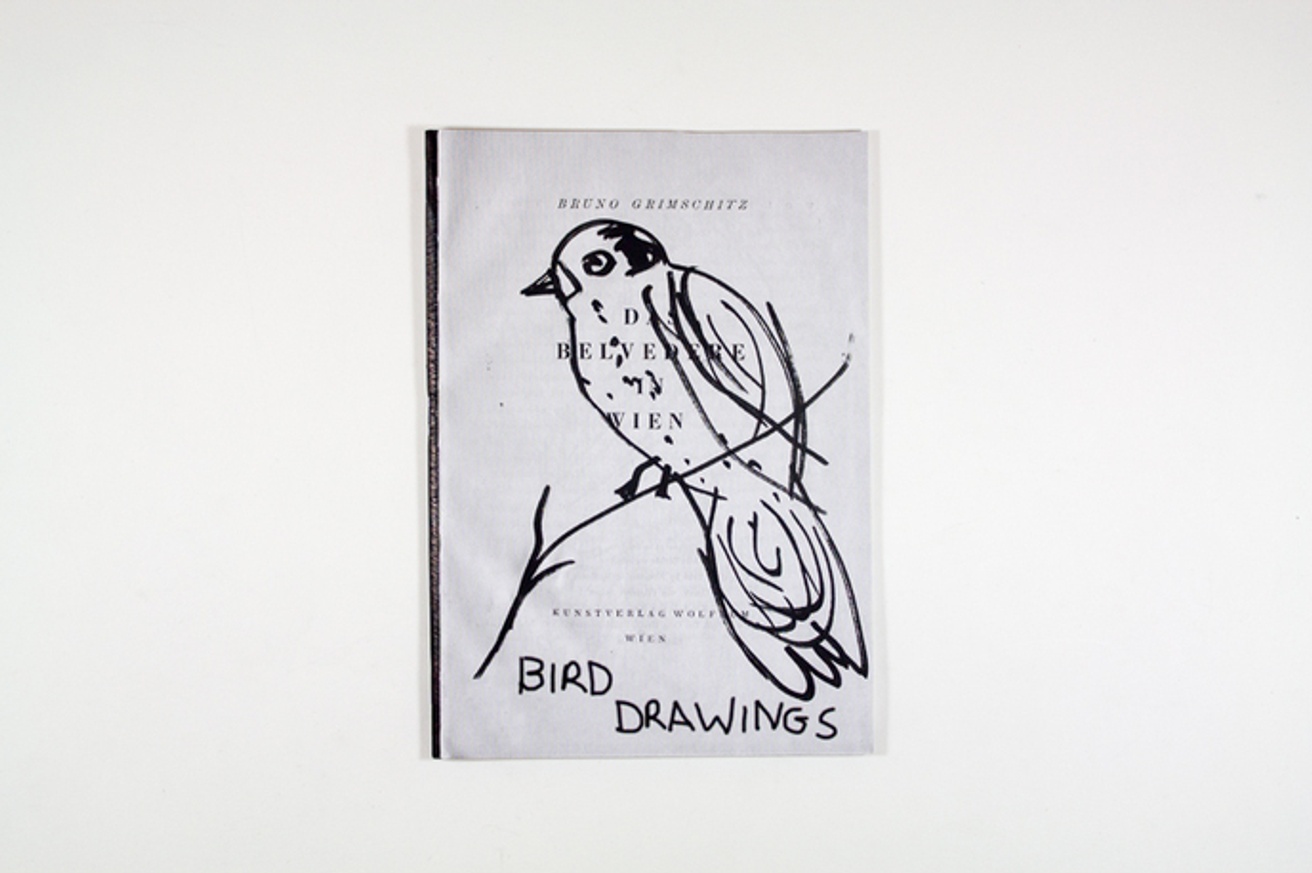 Bird Drawings