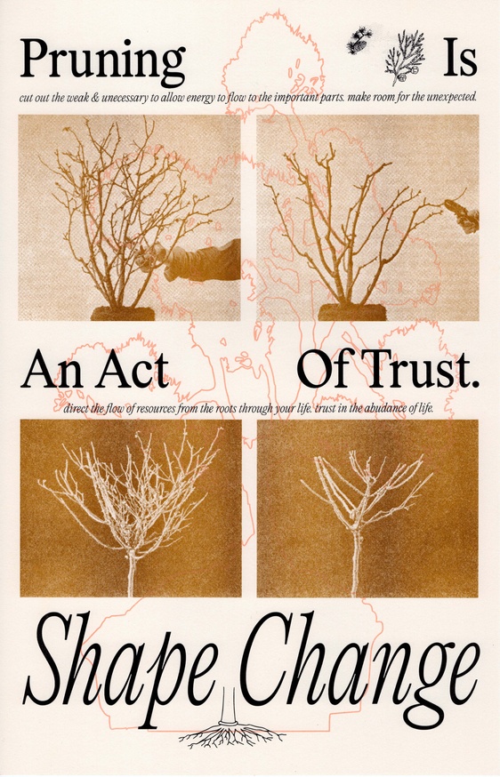 Pruning Is An Act Of Trust