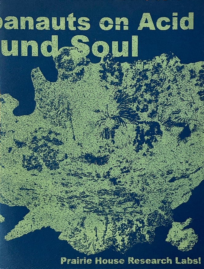 Suburbanauts on Acid: 12 Pound Soul