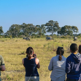 tourhub | Intrepid Travel | Botswana Family Safari with Teenagers 