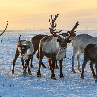 tourhub | Exodus Adventure Travels | Finnish Wilderness Week 