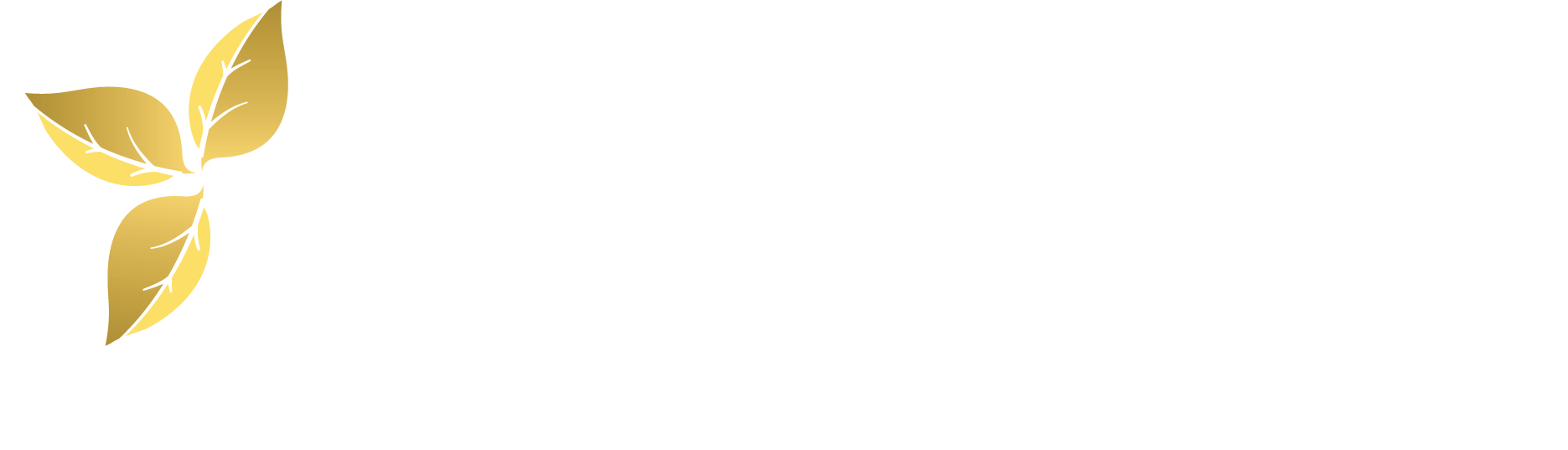 Trinity Memorial Centers Logo