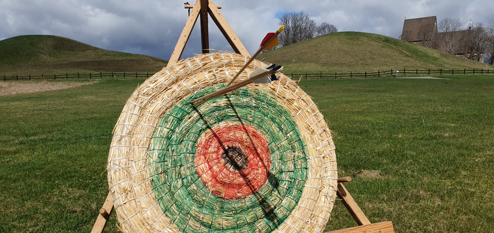 Piltavla framför kungshögarna i Gamla Uppsala. 