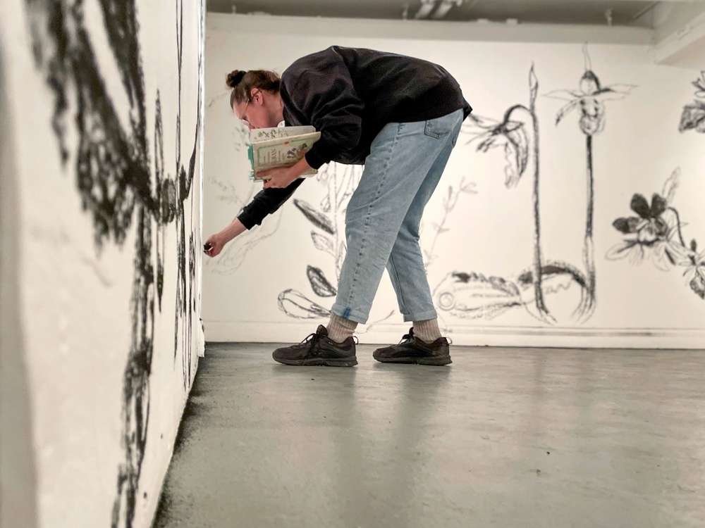 Konstnär tecknar växter med kol på vita utställningsväggar. 