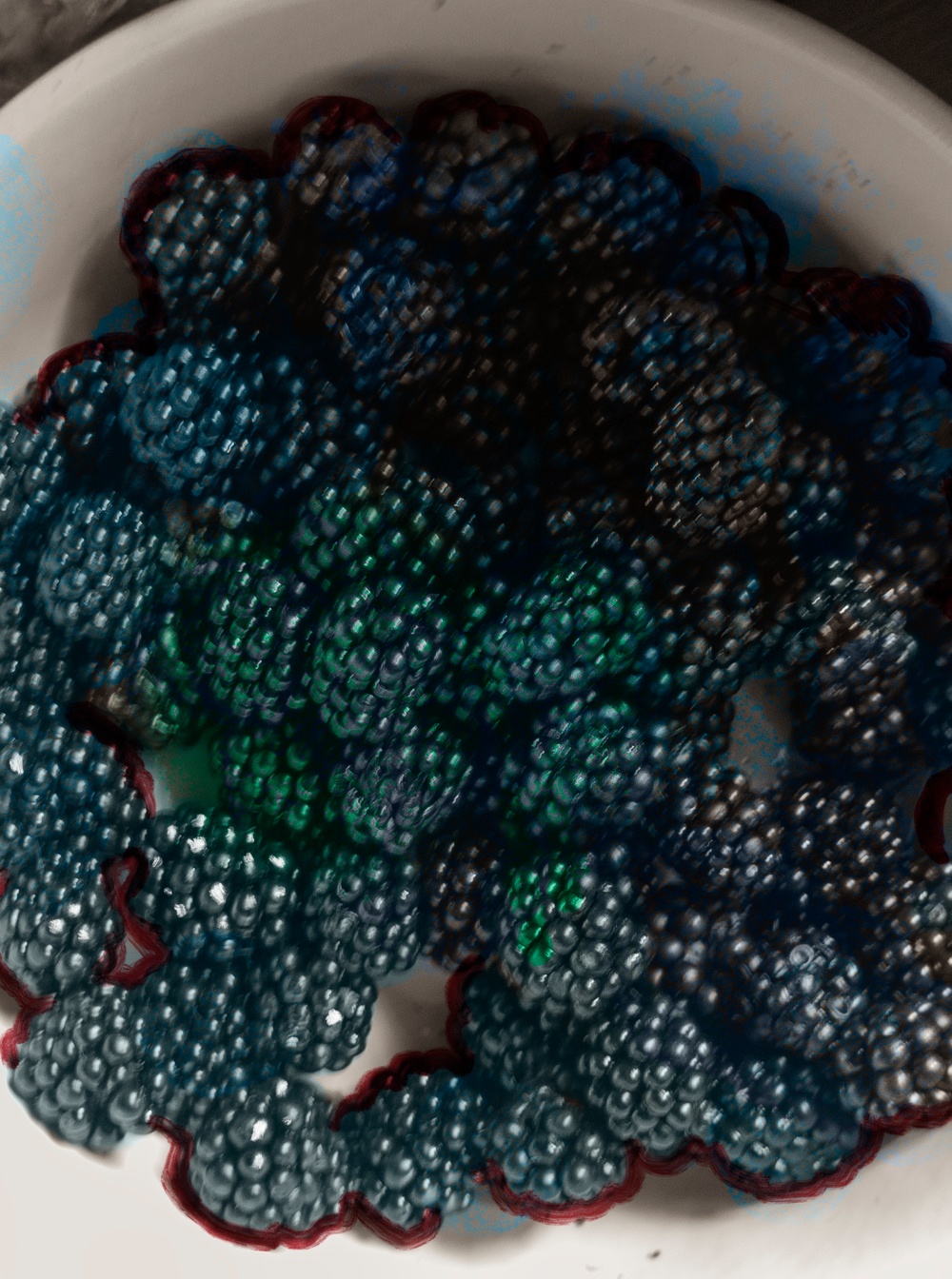 11_NR03_ill_XI_blackberries_Andréason & Leibel.jpg