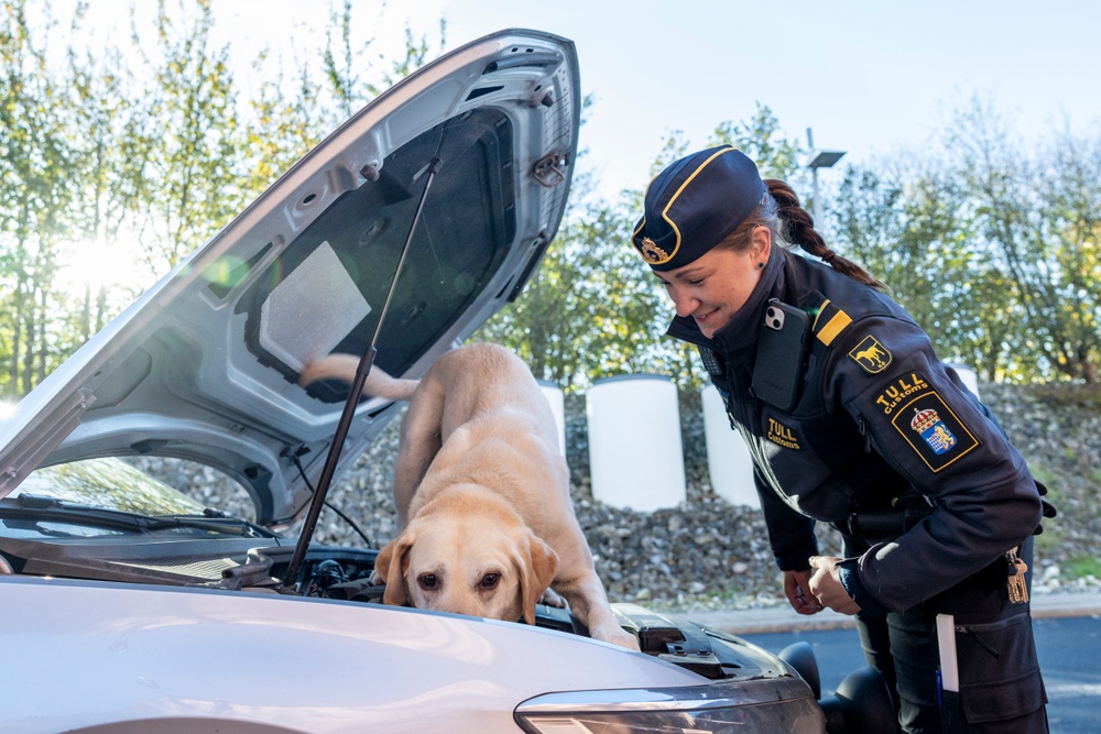 Max söker igenom ett fordon. Hundföraren Frida Hessbo står bredvid. Foto André de Loisted