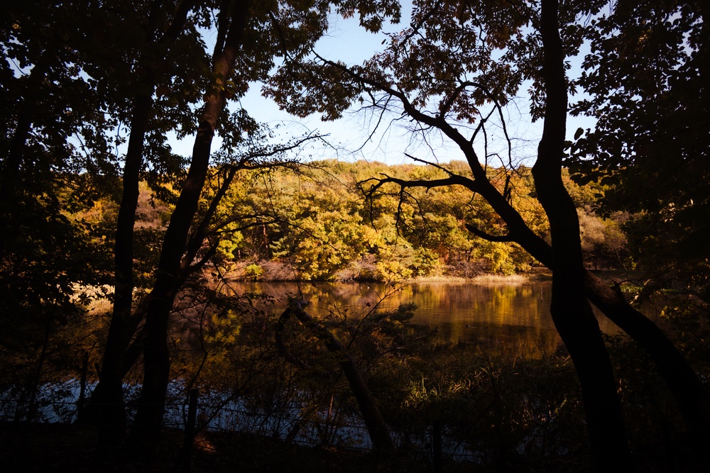 Samyang AF 12mm F2.0 RF-S