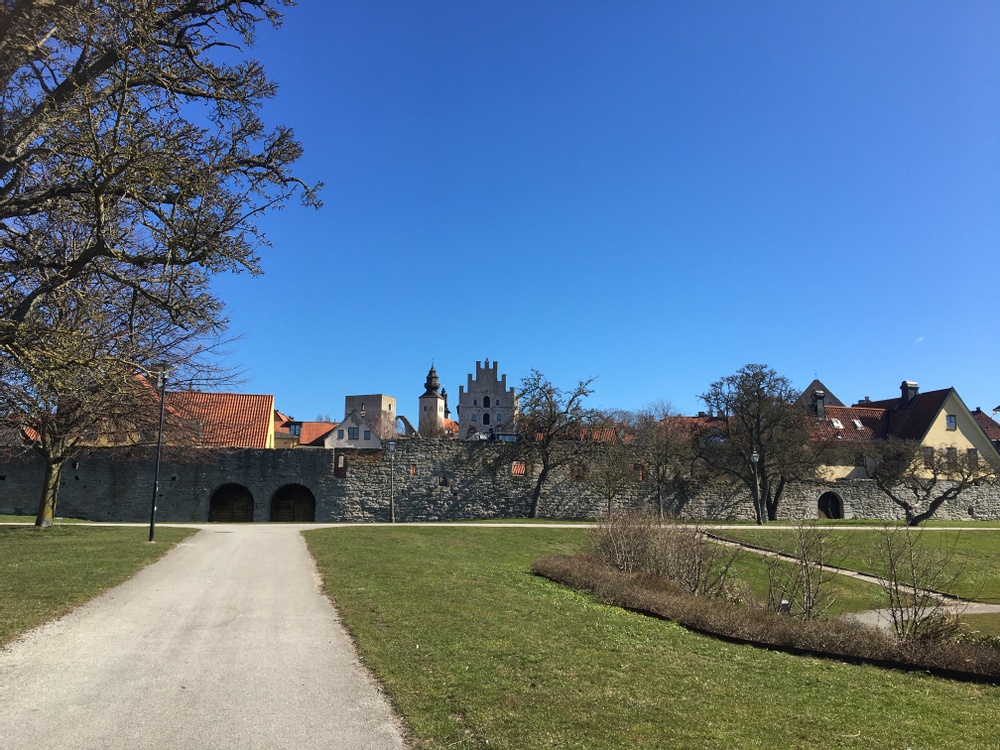 Kulturamas ett-åriga dansutbildning på heltid flyttar till Visby i ett samarbete med Länsteatern och Kulturskolan på Gotland.