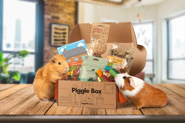 Piggie Box Subscription Box 