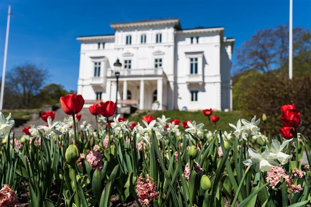 Tulpanplantering i förgrunden och Nolhaga slott i bakgrunden.