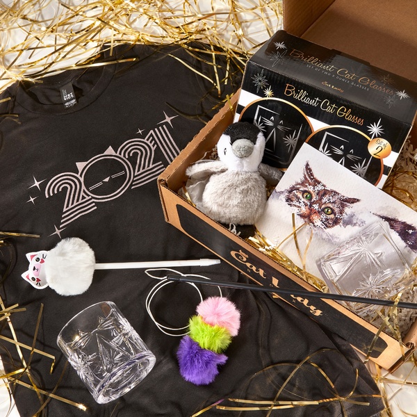 Catladybox Subscription Box For Cat Lovers Cratejoy