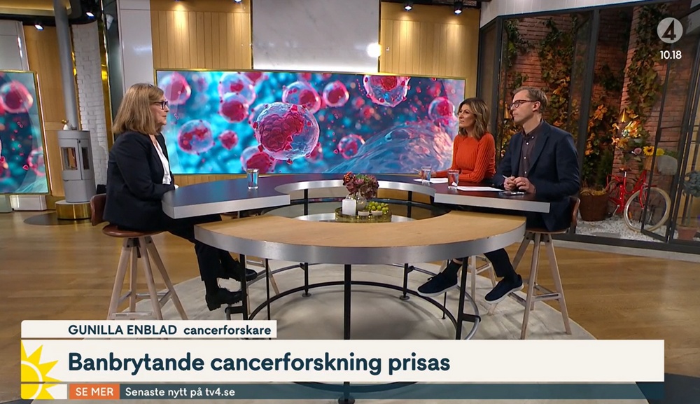 Gunilla Enblad i TV4 Nyhetsmorgon