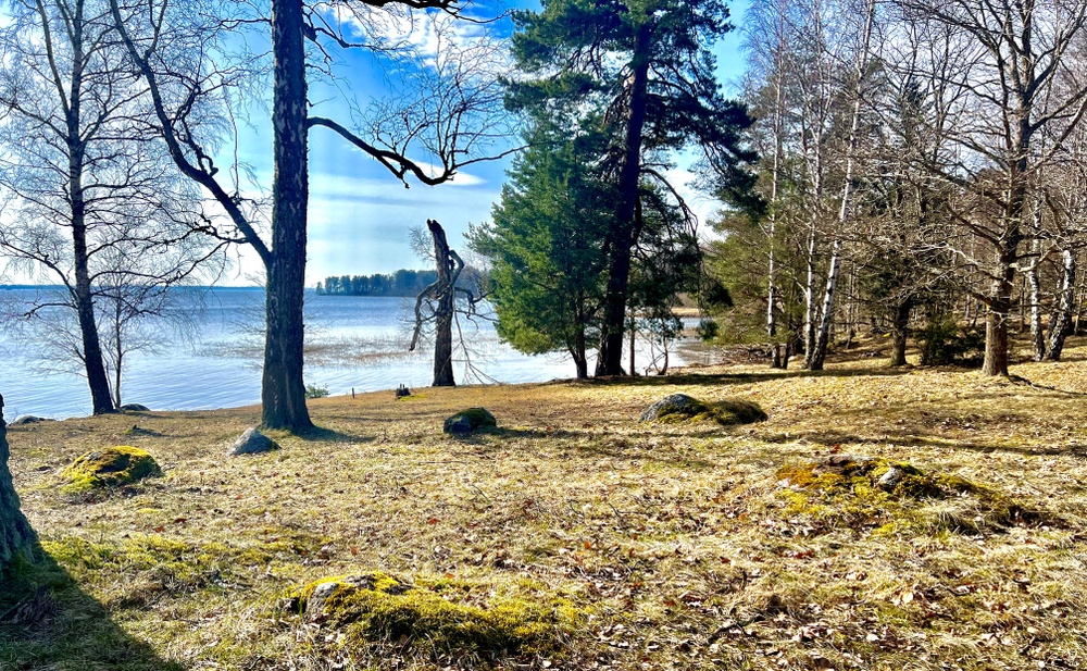 Vid Grensholm genomförs en av årets kulturguidningar.