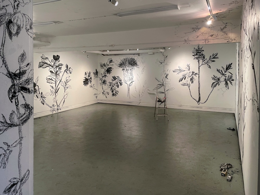 Konstnär tecknar växter med kol på vita utställningsväggar. 