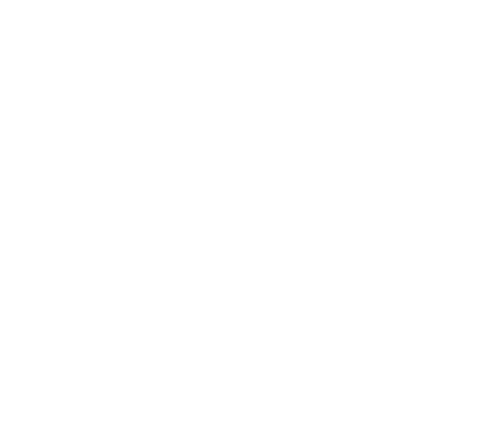 01 StarStable_Logo_Icon_White.png