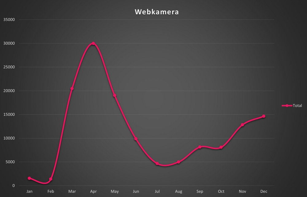 webkamera2020.png