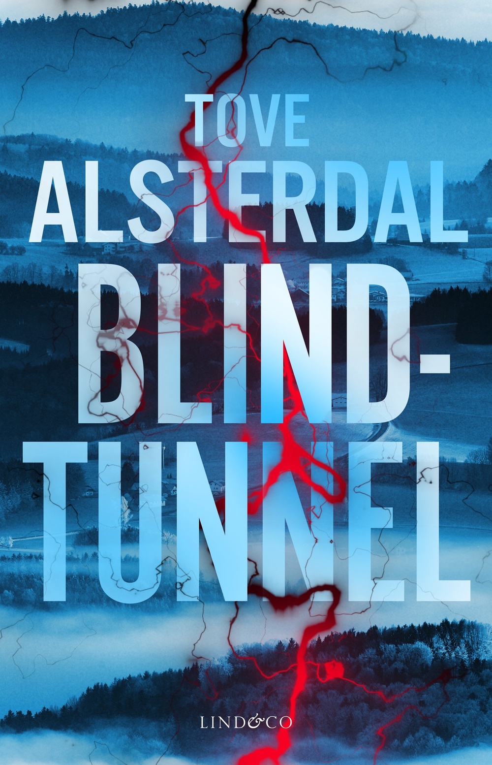 Bokomslag - Blindtunnel, Tove Alsterdal 