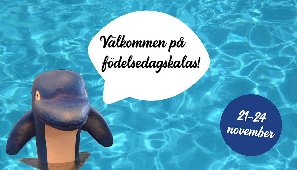 Poolvatten, delfin och texten välkommen på födelsedagskalas 21-24 november!