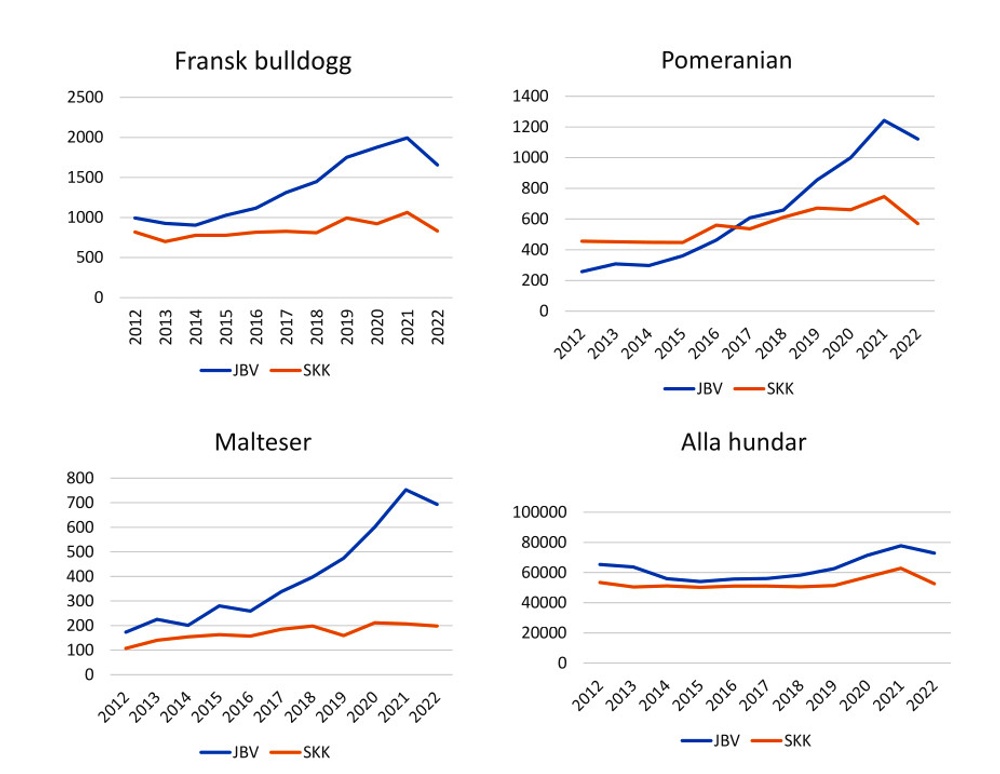 Registreringsstatistik 2012-2022 Fransk bulldogg Pomeranian Malteser Totalt