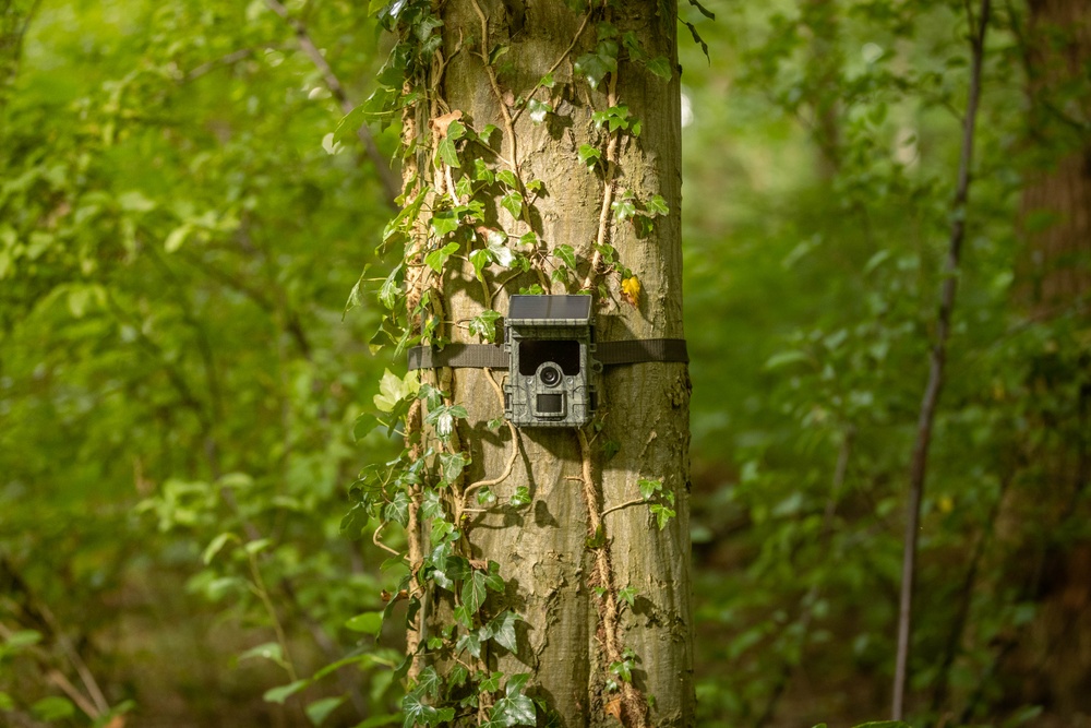 Camouflage Trail Cameras