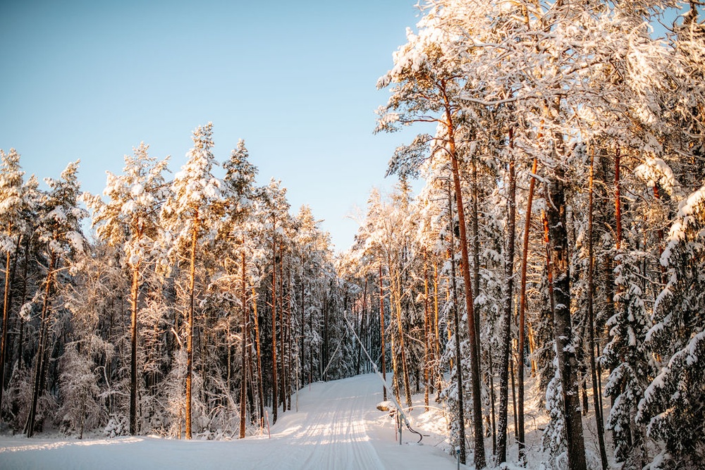 Snöspåren på Lida Friluftsgård