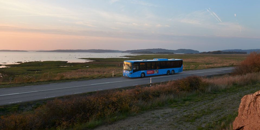 Buss vid havet.