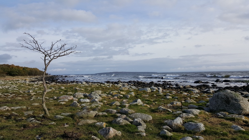 Strand på Listershuvud med ön Hanö i bakgrunden. Foto: Elisabet Wallsten/Länsstyrelsen Blekinge
