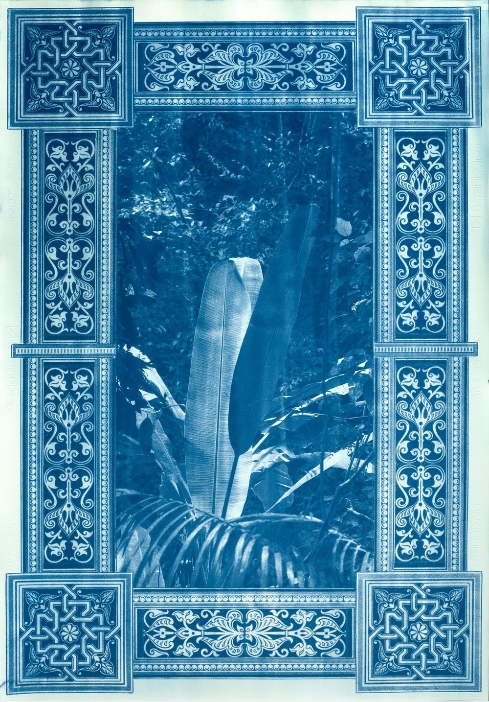 A blue photograph of a tropical plant framed by an ornate Victorian pattern.