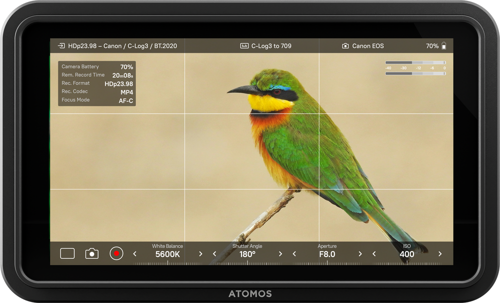 Atomos Shinobi II