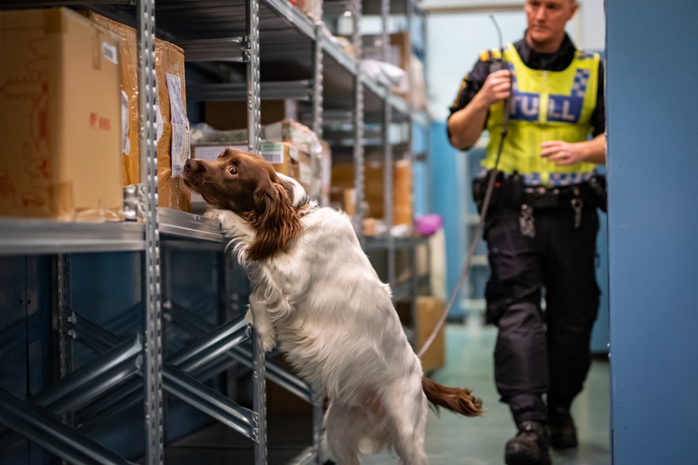 Årets narkotikasökhund 2021 Moss tillsammans med sin förare Christoffer Carlsson. Foto: Lina Kronholm