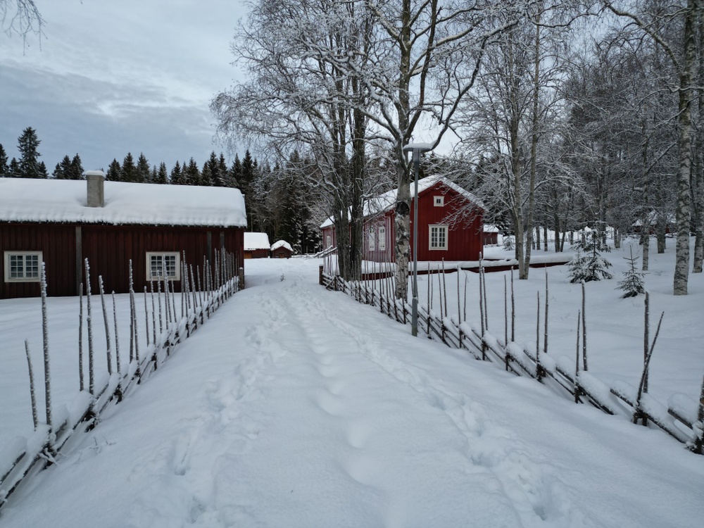 Foto: Petter Engman, Västerbottens museum