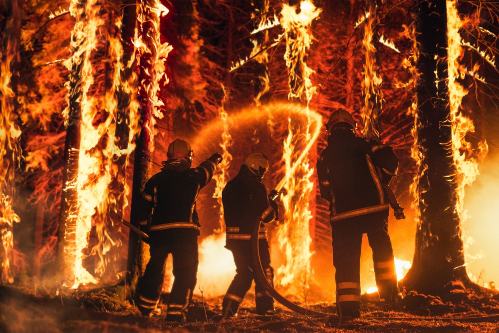 Fire fighters working on a forest fire