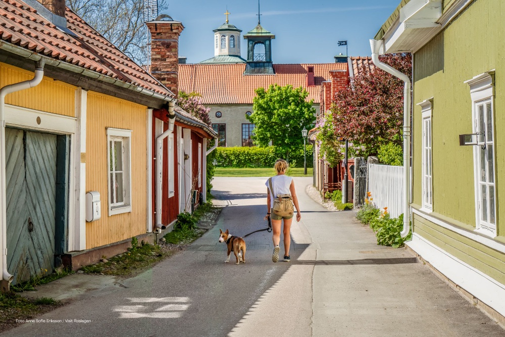 Gröna, gula och röda små hus på en gata där en tjej i shorts promenerar med en hund. Blå himmel.