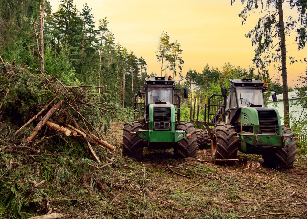 Forestry machines working in the forest