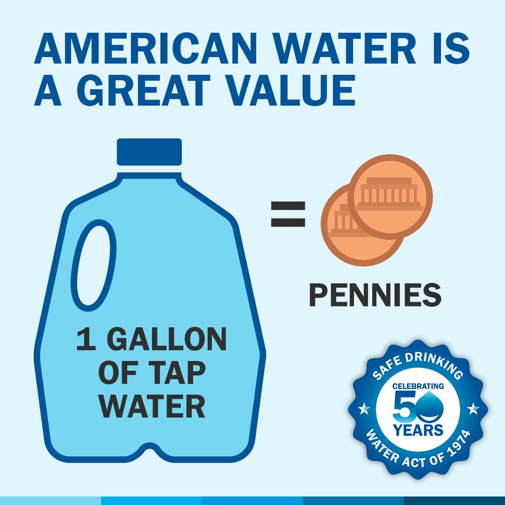 American Water is a great value. 1 gallon of tap water equals pennies.